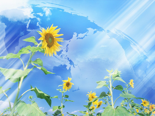 400347 (a): :1600x1200